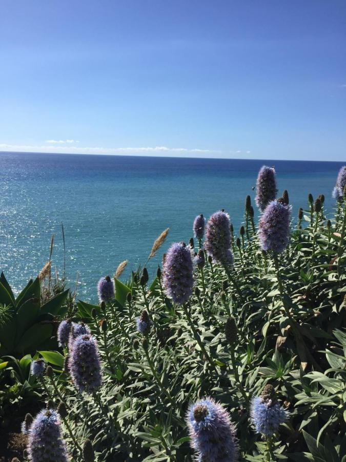 Calheta Ocean View Apartments 1 - Air Condition Estreito Da Calheta Dış mekan fotoğraf